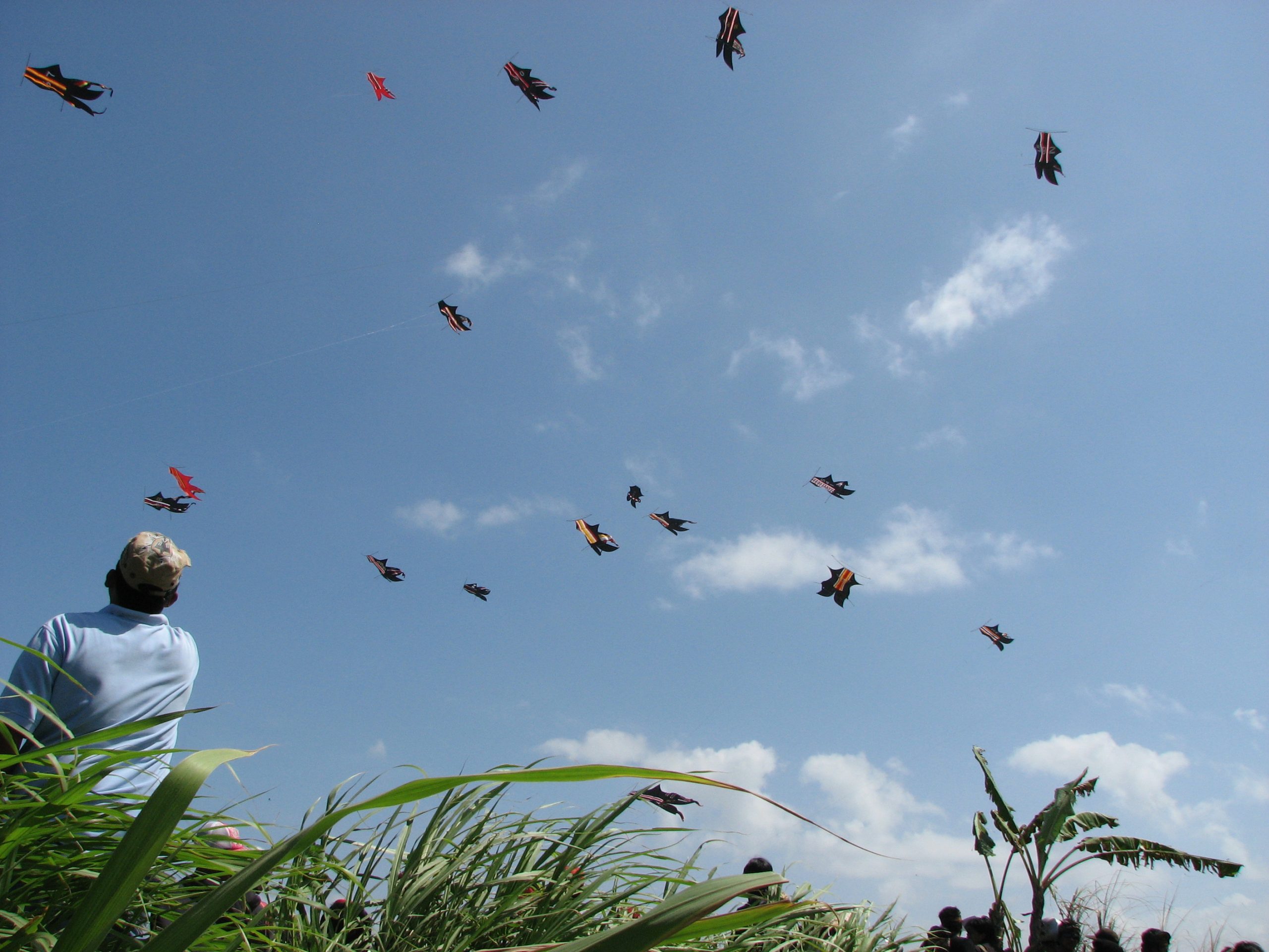 Bali Kite Festival