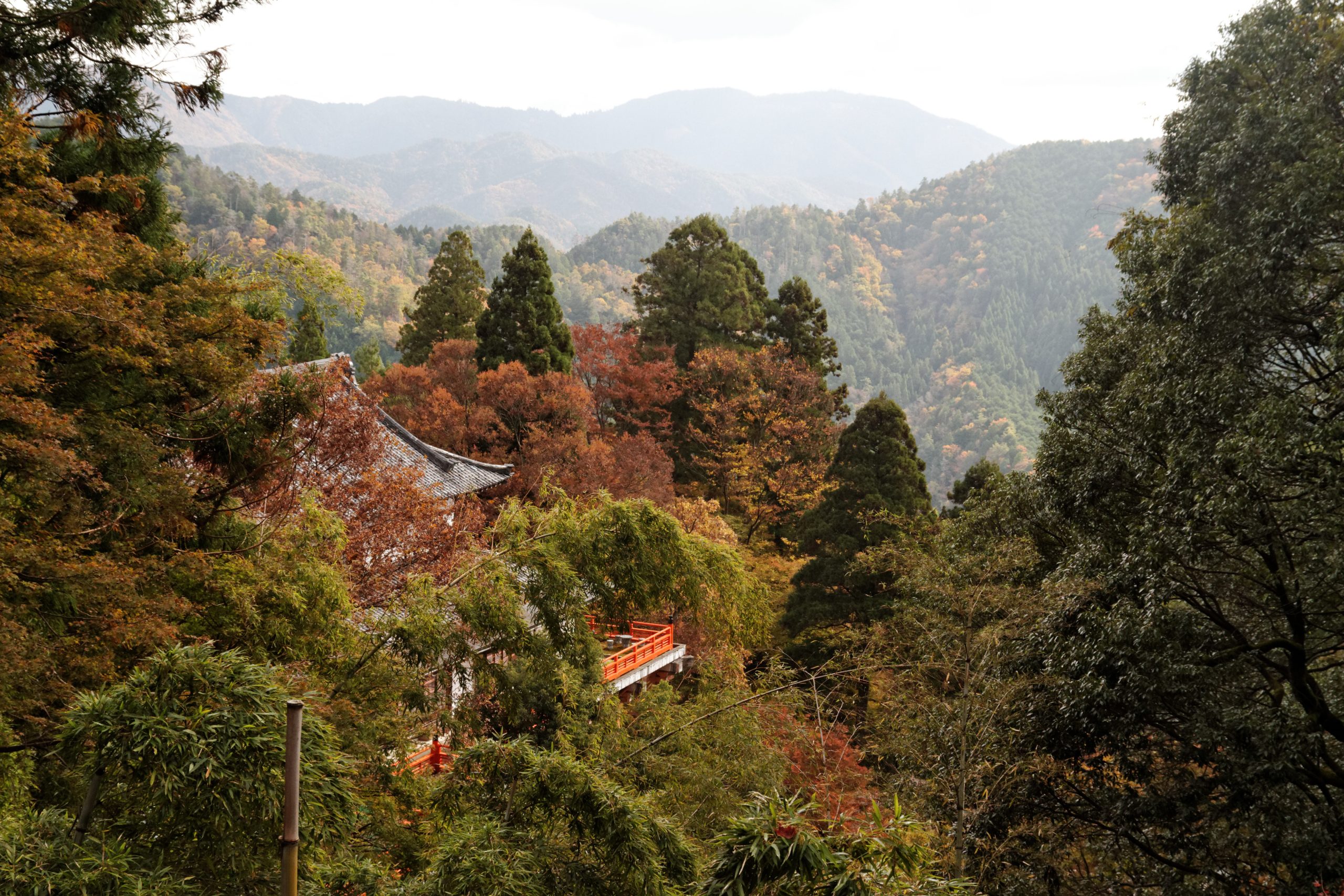 Kurama Fire Festival
