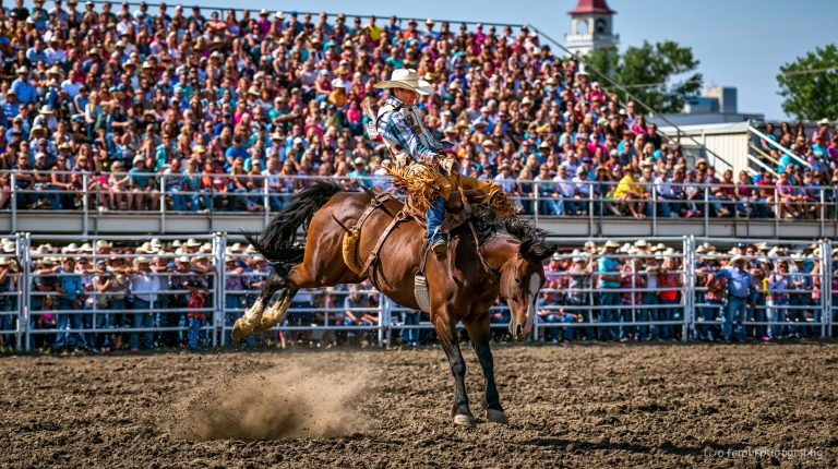 North Dakota State Fair
