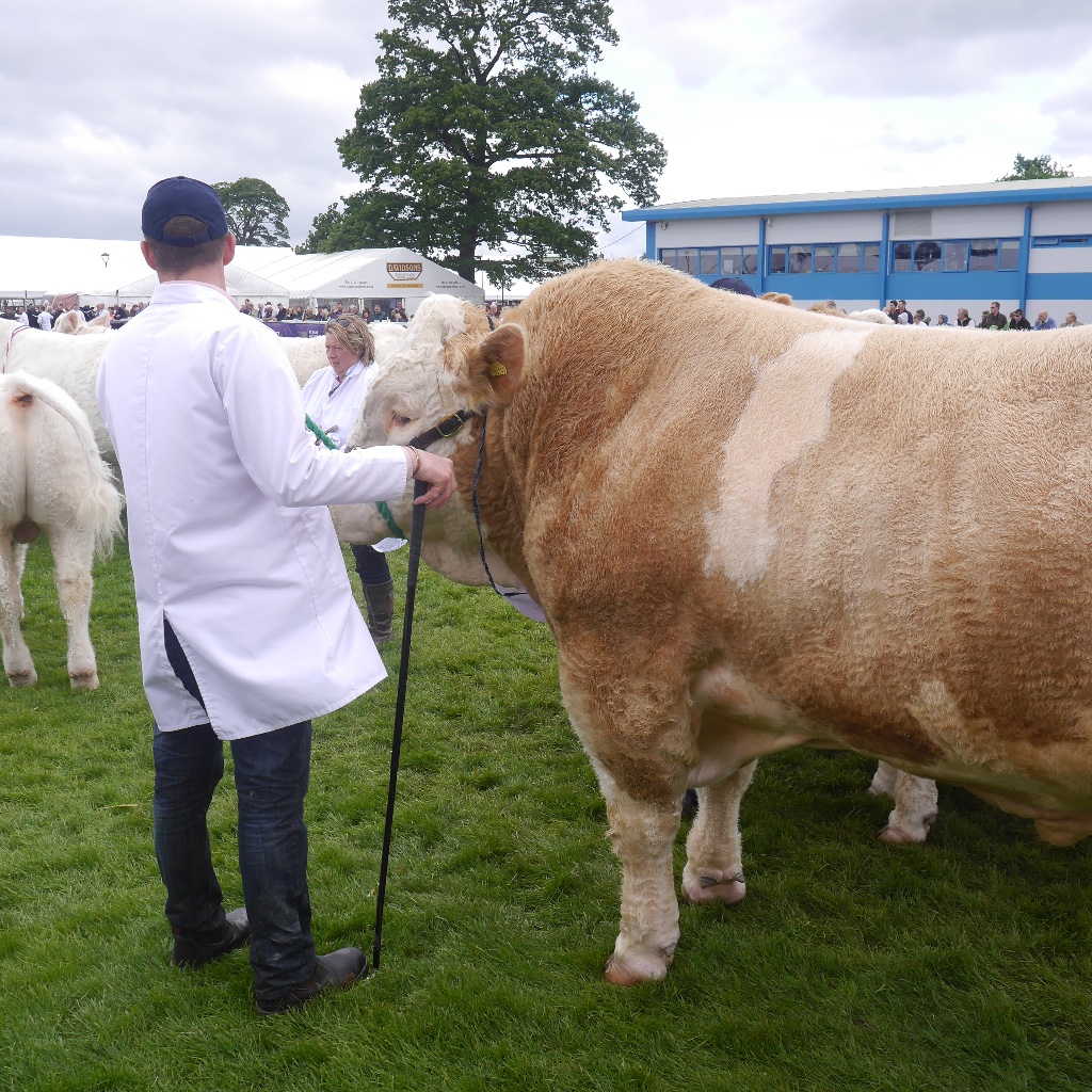 Royal Highland Show