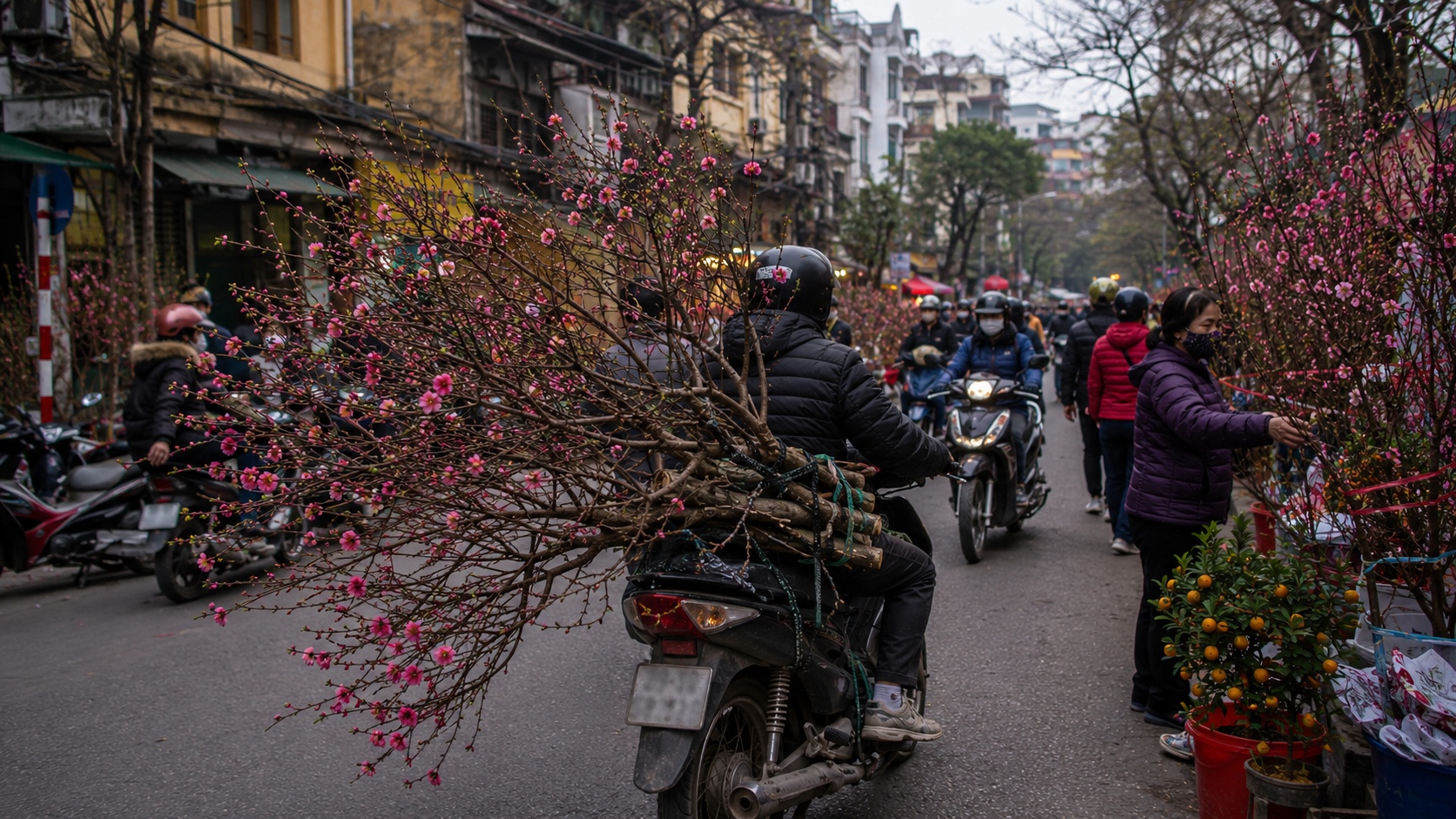 Tết Nguyên Đán Hanoi in Hanoi