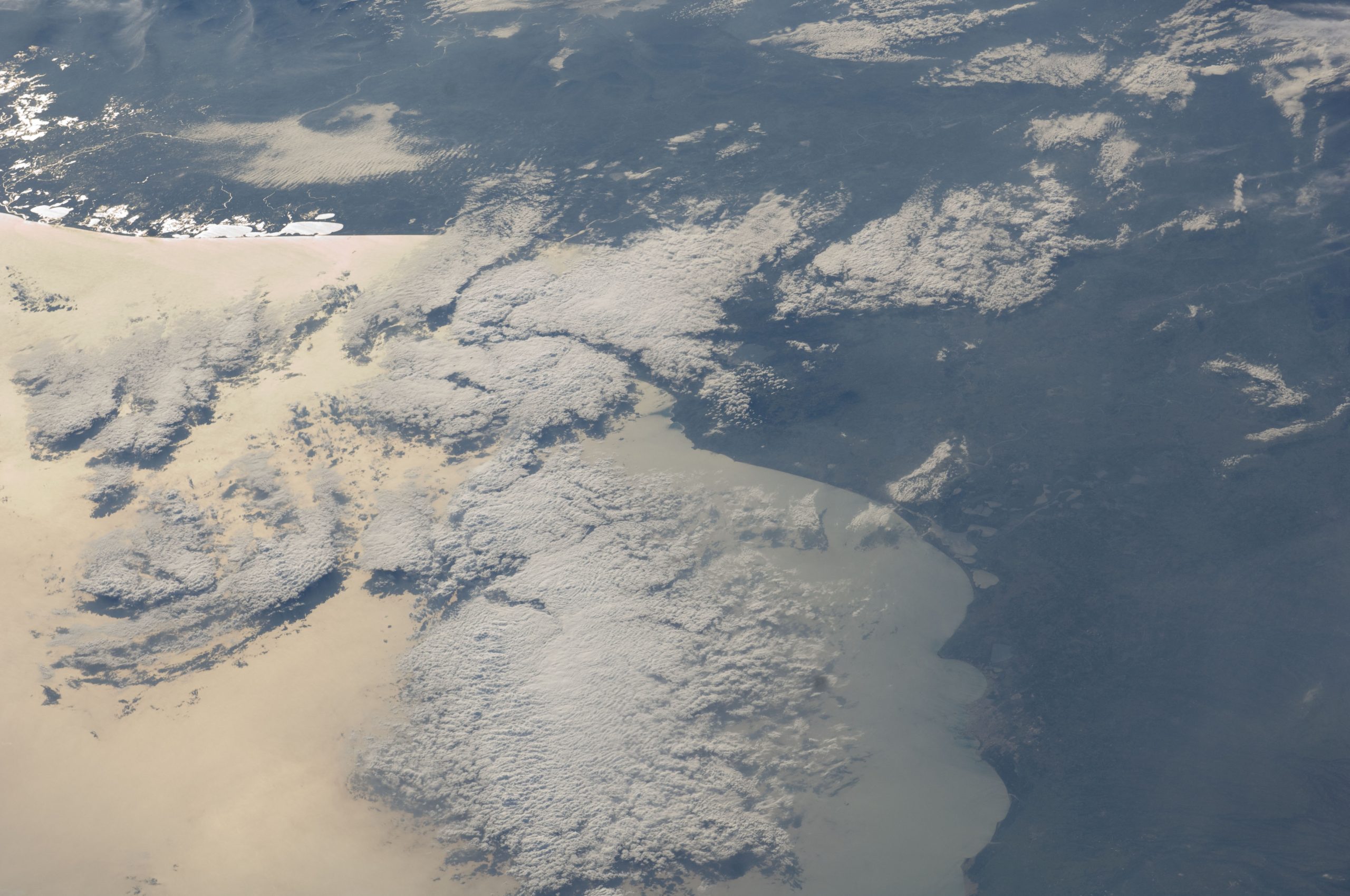 Carnival of Veracruz City