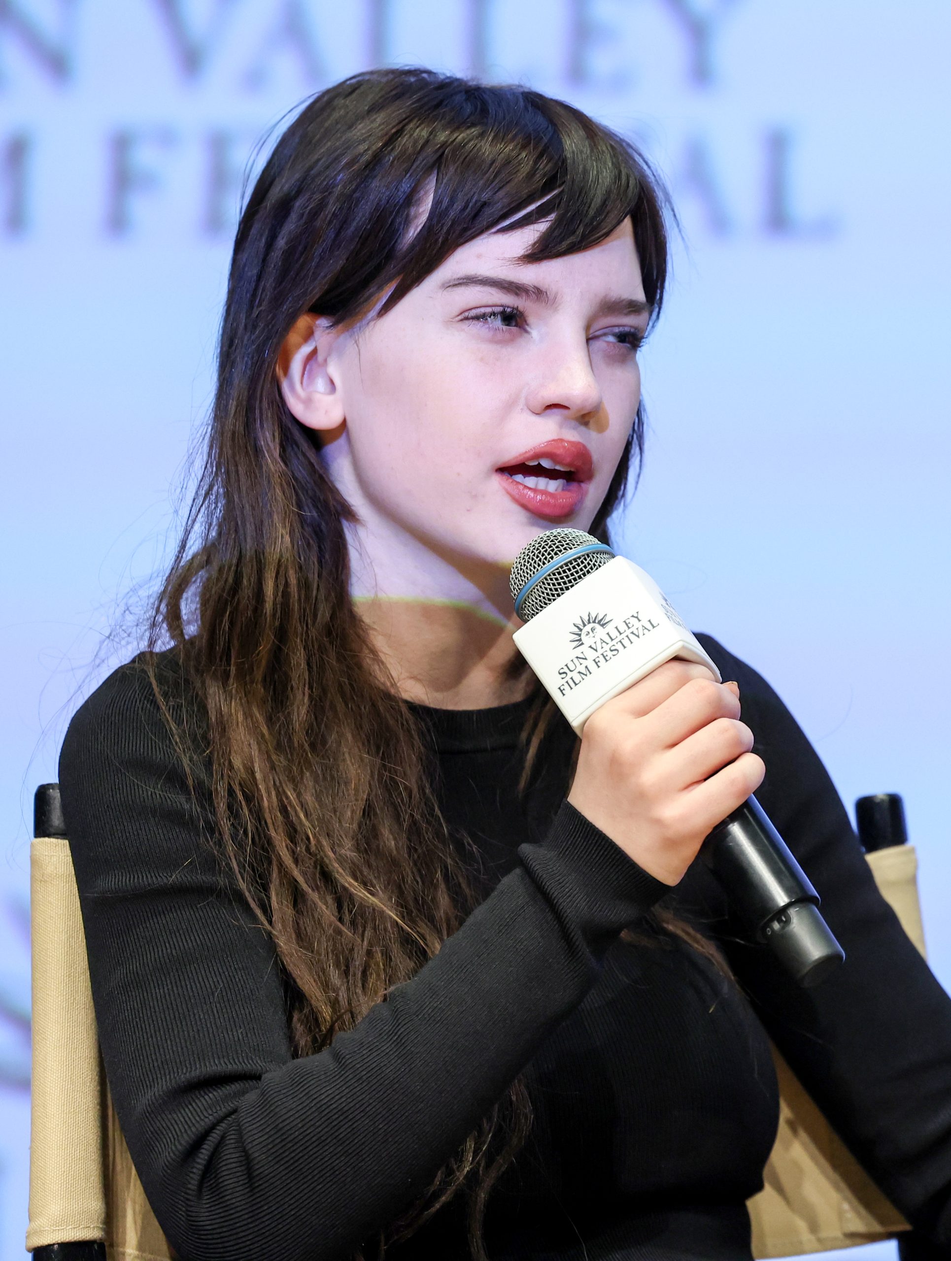 Sun Valley Film Festival