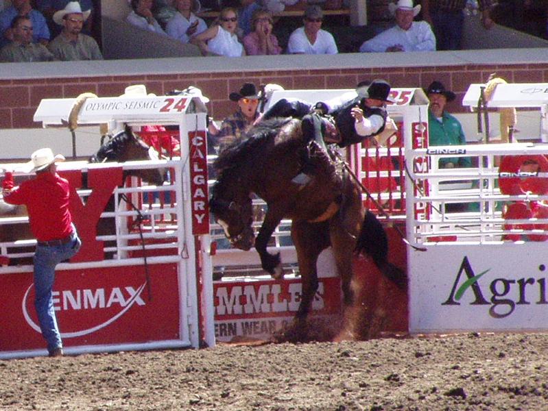 Reno Rodeo